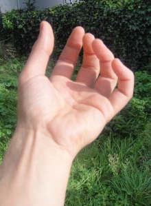 les métacarpo-phalangiennes en rectitude permettent l'écart des doigt