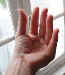 la flexion des articulations métacarpo-phalangiennes entraîne le rapprochement des doigts longs