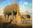 Eléphants par Dali